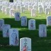 Memorial Day 2022 Image Graves at Arlington on Memorial Day